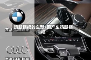 鸡腿档把的车型/国产车鸡腿档把