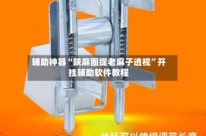 辅助神器“陕麻圈捉老麻子透视”开挂辅助软件教程