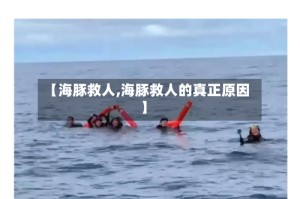 【海豚救人,海豚救人的真正原因】