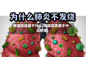 体温较高属于什么(体温较高属于什么感染)
