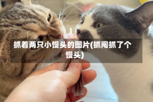 抓着两只小馒头的图片(抓阄抓了个馒头)