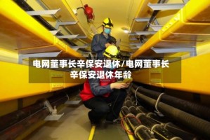 电网董事长辛保安退休/电网董事长辛保安退休年龄