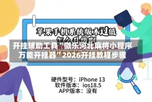 开挂辅助工具“微乐河北麻将小程序万能开挂器”2026开挂教程步骤