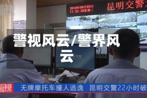 警视风云/警界风云