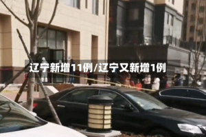 辽宁新增11例/辽宁又新增1例