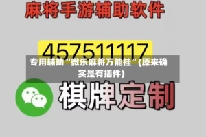 专用辅助“微乐麻将万能挂”(原来确实是有插件)