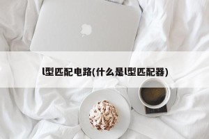 l型匹配电路(什么是l型匹配器)