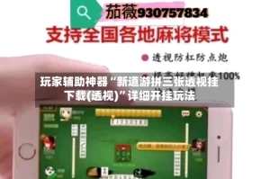 玩家辅助神器“新道游拼三张透视挂下载(透视)”详细开挂玩法