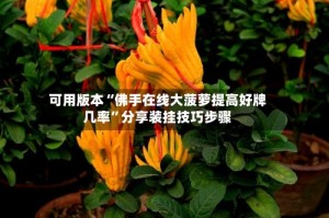 可用版本“佛手在线大菠萝提高好牌几率”分享装挂技巧步骤