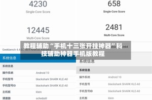 教程辅助“手机十三张开挂神器”科技辅助神器手机版教程