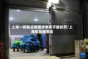 上海一核酸点被砸涉事男子被处罚/上海核酸捅喉咙