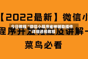 今日教程“微信小程序雀神辅助插件”详细透视教程