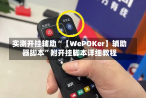实测开挂辅助“【WePOKer】辅助器脚本”附开挂脚本详细教程