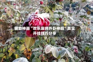 辅助神器“欢乐麻将外卦神器”真实开挂技巧分享