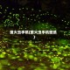 萤火虫手机(萤火虫手机壁纸)