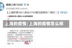 上海的疫情/上海的疫情怎么样