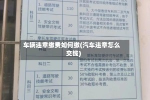 车辆违章缴费如何缴(汽车违章怎么交钱)