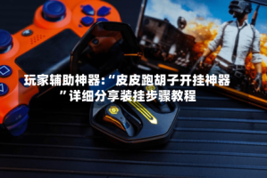 玩家辅助神器:“皮皮跑胡子开挂神器”详细分享装挂步骤教程
