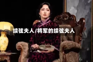 续弦夫人/将军的续弦夫人