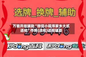万能开挂辅助“微信小程序家乡大贰透视”作弊(透视)透视辅助