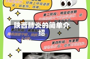 陕西肺炎的简单介绍