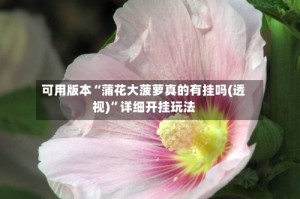 可用版本“蒲花大菠萝真的有挂吗(透视)”详细开挂玩法