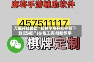 万能开挂辅助“桂林字牌开挂神器下载(透视)”(必备工具)辅助教学