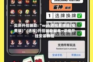 实测开挂辅助:“wpk透视看牌器(免费版)”(透视)开挂辅助脚本+详细开挂安装教程