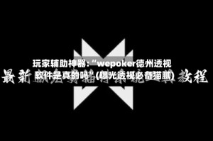 玩家辅助神器:“wepoker德州透视软件是真的吗”(曝光透视必备猫腻)