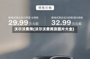 沃尔沃费用(沃尔沃费用及图片大全)