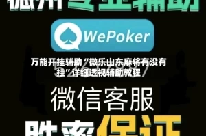 万能开挂辅助“微乐山东麻将有没有挂”详细透视辅助教程