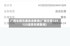 广西车辆交通违法查询(广西交管123123违章车辆查询)