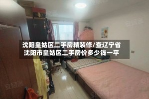 沈阳皇姑区二手房精装修/查辽宁省沈阳市皇姑区二手房价多少钱一平