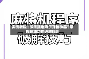 实测教程“微乐捉老麻子开挂神器”掌握辅助功能必胜规则