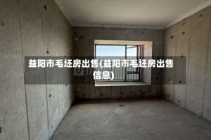 益阳市毛坯房出售(益阳市毛坯房出售信息)