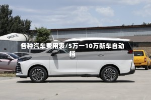 各种汽车费用表/5万一10万新车自动挡