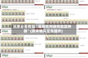 玩家必看教程“哥哥杭州麻将助赢神器”(原来确实是有插件)