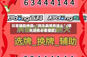 玩家辅助神器:“微乐麻将有挂么”(曝光透视必备猫腻)