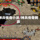 神兵传奇小说/神兵传奇网游