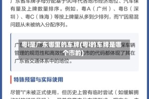 粤i是广东哪里的车牌(粤i的车牌是哪个市的)