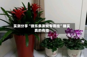 实测分享“微乐亲友房专用挂”确实真的有挂