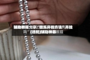 辅助教程分享“微乐开挂方法”开挂(透视)辅助神器
