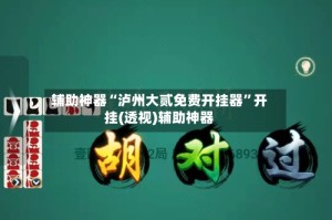 辅助神器“泸州大贰免费开挂器”开挂(透视)辅助神器