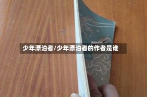少年漂泊者/少年漂泊者的作者是谁