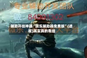 辅助开挂神器“微乐辅助器免费版”(透视)其实真的有挂