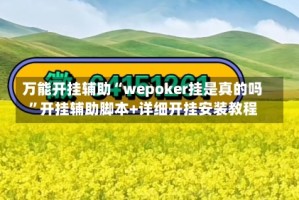 万能开挂辅助“wepoker挂是真的吗”开挂辅助脚本+详细开挂安装教程