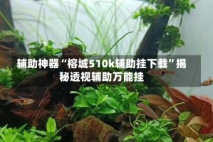 辅助神器“榕城510k辅助挂下载”揭秘透视辅助万能挂