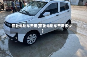 丽驰电动车费用(丽驰电动车费用多少)