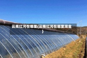 云南红河在哪里(云南红河在哪里淘金)