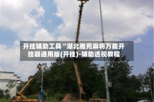 开挂辅助工具“湖北雅苑麻将万能开挂器通用版(开挂)-辅助透视教程